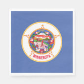 vlag van de deelstaat Minnesota Servet (Voorkant)
