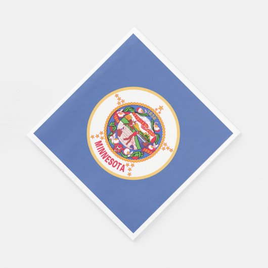 vlag van de deelstaat Minnesota Servet (Hoek)