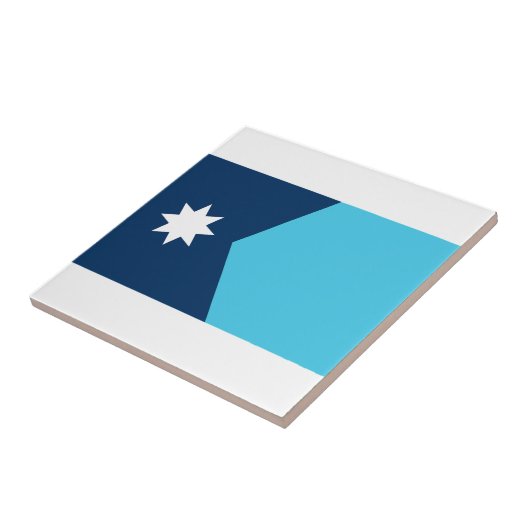 vlag van de deelstaat Minnesota Tegeltje (Zijkant)