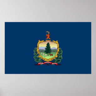 vlag van de deelstaat Vermont Poster