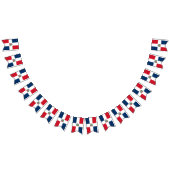 Vlag van de Dominicaanse Republiek Vlaggetjes (Alle)