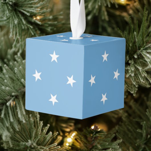 vlag van de Federale Staten van Micronesia Decoratie (Boom)