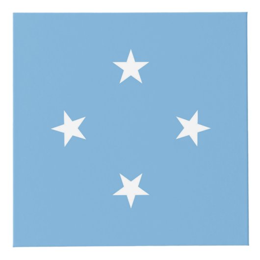vlag van de Federale Staten van Micronesia Kubus (Voorkant)