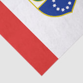 Vlag van de Federatie Bosnië-Herzegovina Tissuepapier (Detail)