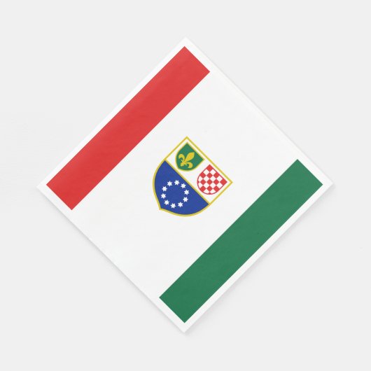 Vlag van de Federatie van Bosnië en Herzegovina Servet (Hoek)