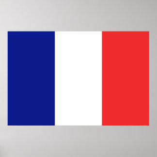 Vlag van de Franse grote Tricolore Poster