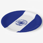 Vlag van de grote Rapids (Michigan City) Papieren Bordje (Gekanteld)