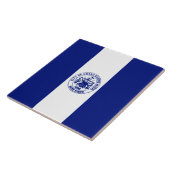 Vlag van de grote Rapids (Michigan City) Tegeltje (Zijkant)