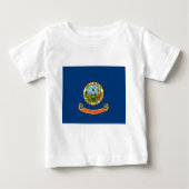 Vlag van de Idaho-staat (Voorkant)