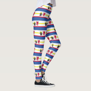 Vlag van de Leggings Mecklenburg-Western Pommeren