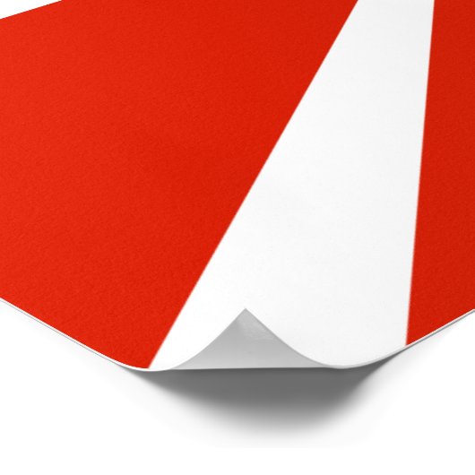 Vlag van de marine 1923 poster (Hoek)