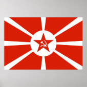 Vlag van de marine 1923 poster (Voorkant)