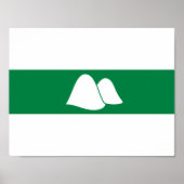 Vlag van de oblast Kurgan Poster (Voorkant)