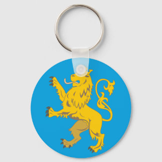 Vlag van de oblast Lviv Sleutelhanger