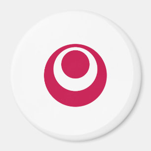 Vlag van de prefectuur Okinawa, Japan Magneet