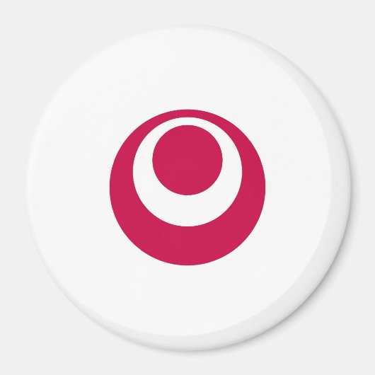 Vlag van de prefectuur Okinawa, Japan Magneet (Voorkant)