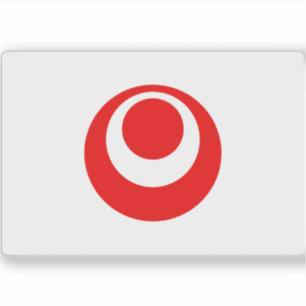 Vlag van de prefectuur Okinawa, Japan Sticker