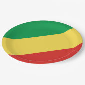 Vlag van de Republiek Congo Papieren Bordje (Gekanteld)