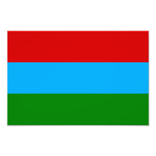 Vlag van de Republiek Karelië Foto Afdruk