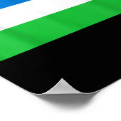 Vlag van de Republiek Molossia Poster (Hoek)