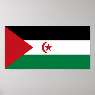 Vlag van de Sahrawi Arabische Democratische Republ Poster