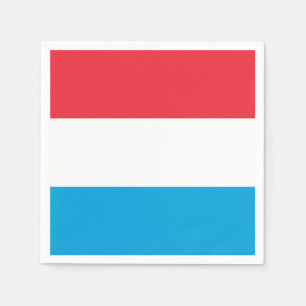 Vlag van de Servetten van het Document van