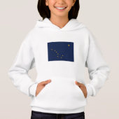 vlag van de staat Alaska (Voorkant)