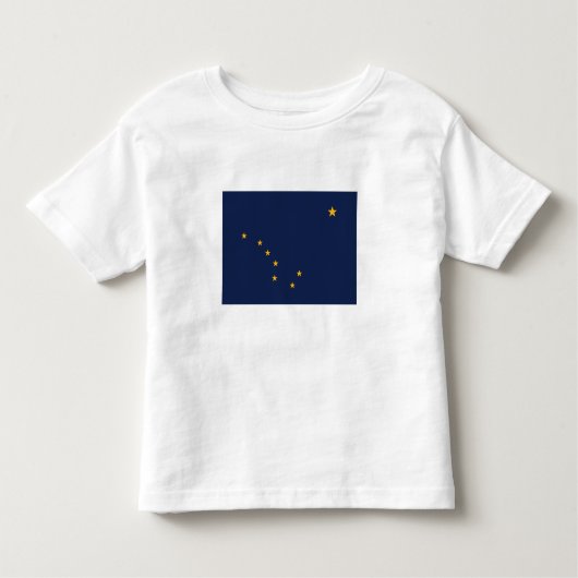 vlag van de staat Alaska Kinder Shirts (Voorkant)
