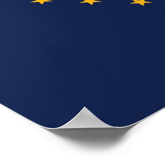 vlag van de staat Alaska Poster (Hoek)