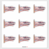 Vlag van de staat Hawaii Sticker (Vel)