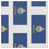 Vlag van de staat Kansas Stof (Close Up)