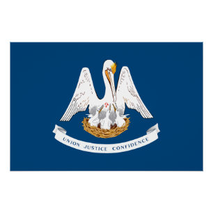 Vlag van de staat Louisiana Perfect Poster