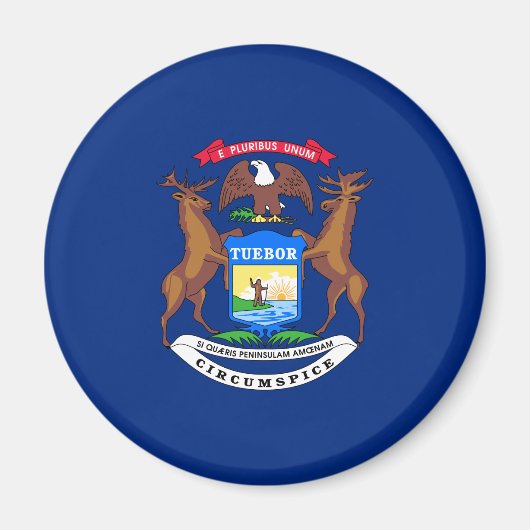 Vlag van de staat Michigan Magneet (Voorkant)