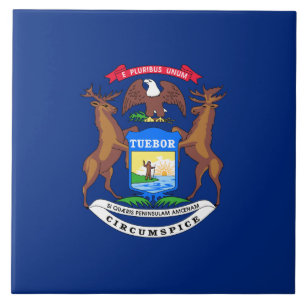 Vlag van de staat Michigan Tegeltje