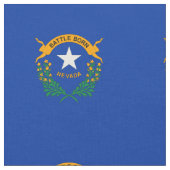 Vlag van de staat Nevada Stof (Close Up)