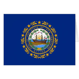 Vlag van de staat New Hampshire