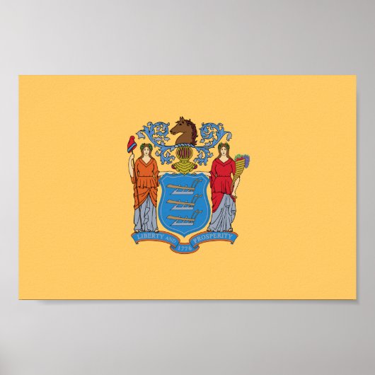 Vlag van de staat New Jersey Poster (Voorkant)