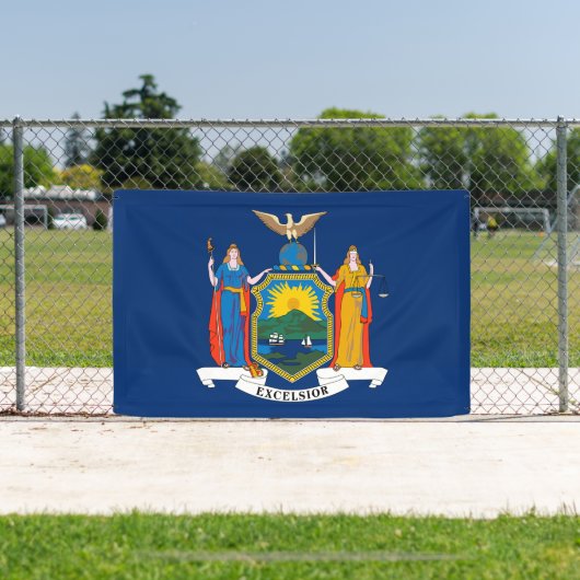 Vlag van de staat New York Spandoek (Insitu)