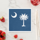 vlag van de staat South Carolina Servet (Insitu)