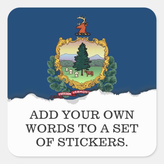 Vlag van de staat Vermont Vierkante Sticker (Voorkant)