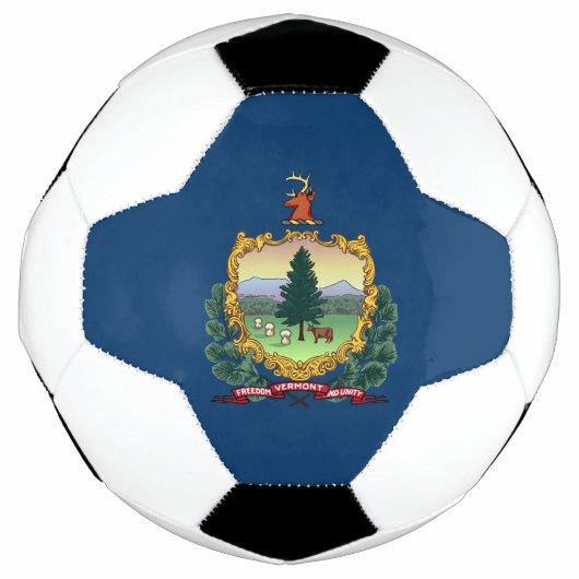 Vlag van de staat Vermont Voetbal (Voorkant)