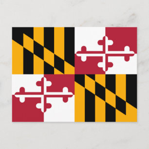 Vlag van de staat Vibrant Maryland Briefkaart