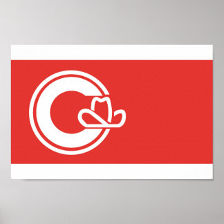 Vlag van de stad Calgary Poster