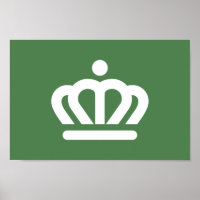 Vlag van de stad Charlotte