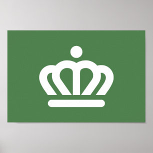 Vlag van de stad Charlotte Poster