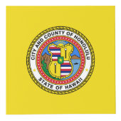 Vlag van de stad Honolulu, Hawaii Cube Kubus (Rechts)