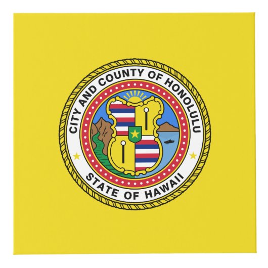 Vlag van de stad Honolulu, Hawaii Cube Kubus (Rechts)