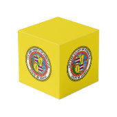 Vlag van de stad Honolulu, Hawaii Cube Kubus (Achter hoekig)