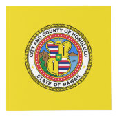 Vlag van de stad Honolulu, Hawaii Cube Kubus (Voorkant)