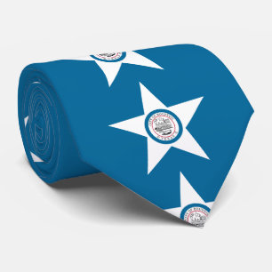 Vlag van de stad Houston, Stropdas Texas